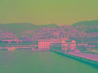 IMGP2600 edited (Medium)